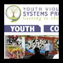 Youth Violence Systems Project
